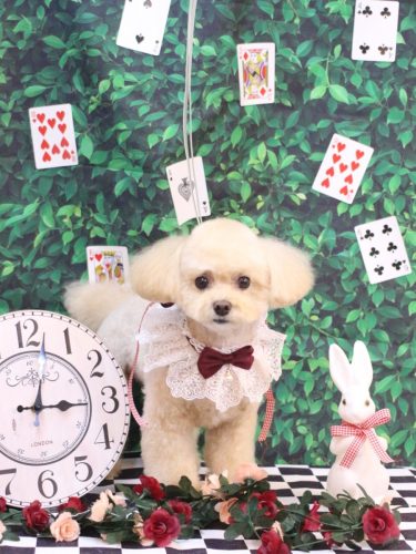 20250420むぎちゃん